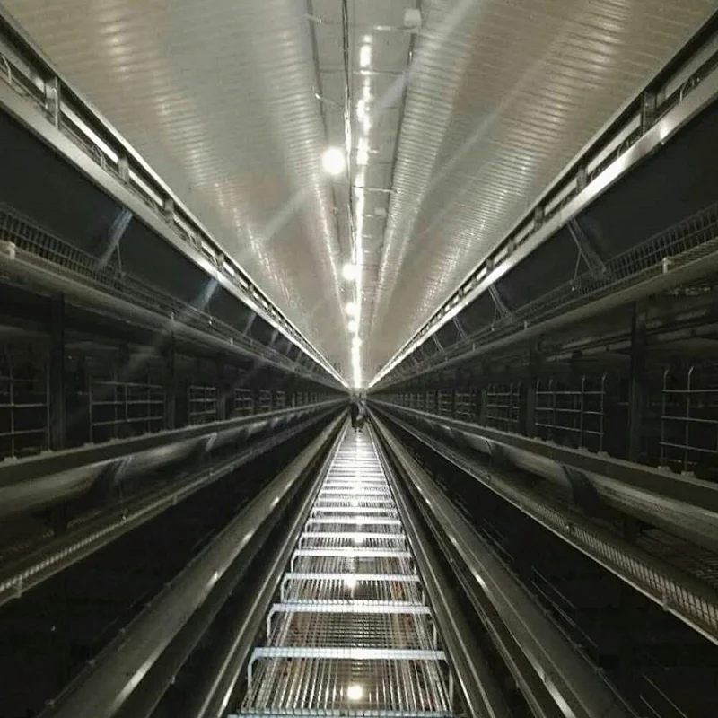 Complete Automatic Multi-tier layer cage system for layer feeding chicken house