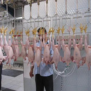 Customized Complete poultry chicken farm turnkey project slaughterhouse processing line plant machinery