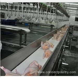 Belt conveyor system for poultry processing line