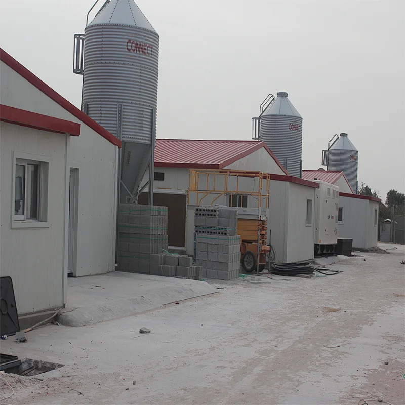 feed storage and conveyor system Hot dip galvanized steel chicken broiler farm feed silo equipment for sale