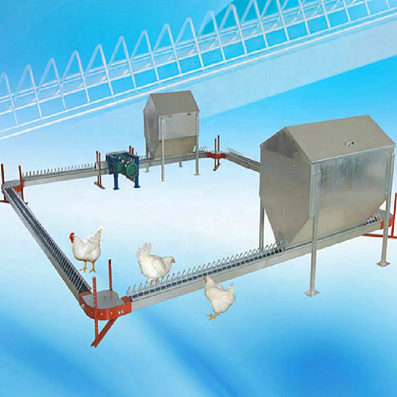 Breeder chain feeding System for poultry farming equipment