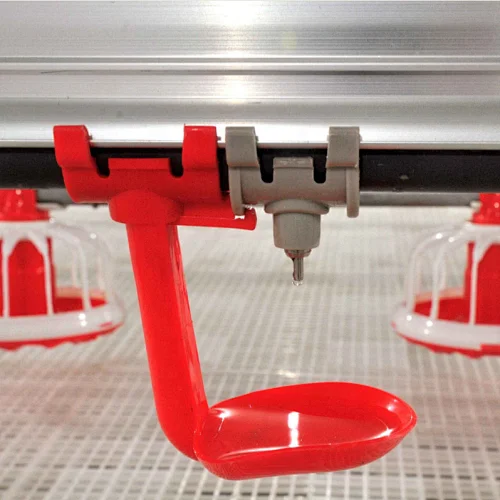 Chicken Shed  Automatic Nipple Drinking System