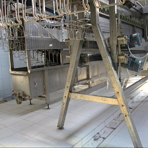 Poultry processing equipment