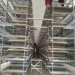 Layer Cage system for poultry farm