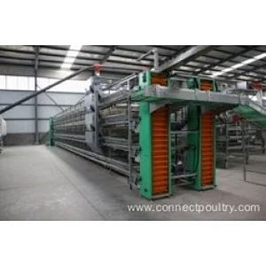 Hot Sale high quality one-stop service Automatic Feeding Egg Chicken Farm Layer Poultry Battery Cages for Farms