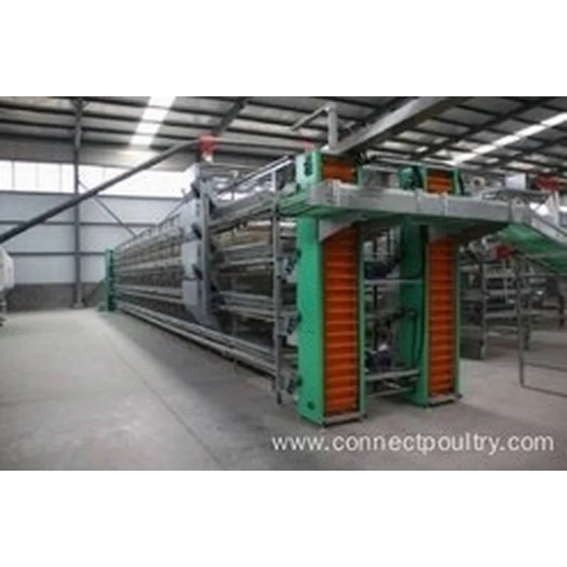 Hot Sale high quality one-stop service Automatic Feeding Egg Chicken Farm Layer Poultry Battery Cages for Farms