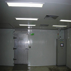 China Factory Price High Grade Air Chiller Blast Freezer Cold Storage room for meat vegetables