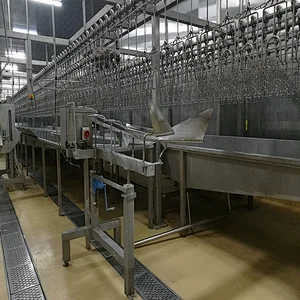 Small production 500bph chicken poultry slaughter equipment and process line
