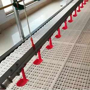 Poultry farm NIPPLE DRINKING SYSTEM
