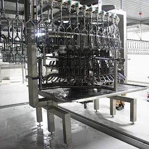 Poultry processing equipment manufacturers Automatic Evisceration machinery