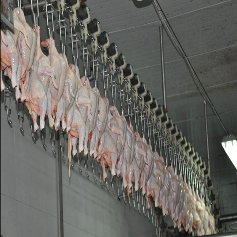 bird processing plant for broilers
