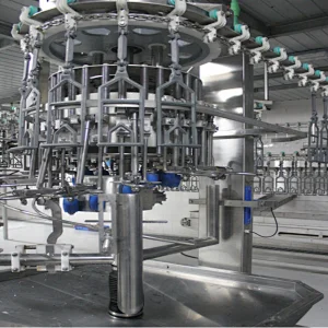 IQF Freezing Process and Poultry Product Type frozen chicken slaughterhouse automatic eviscerator equipment