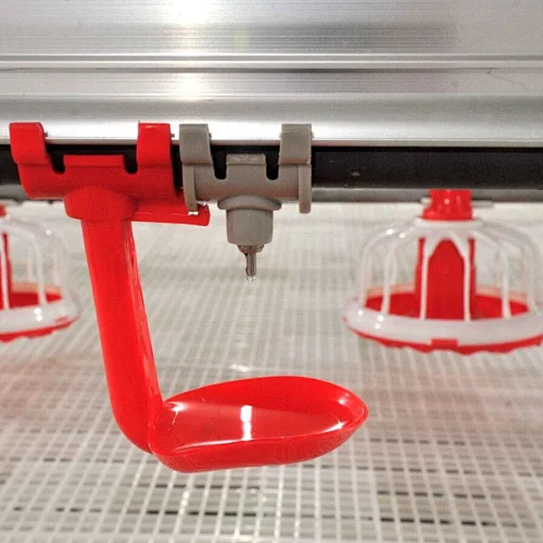 Poultry farm feeding equipment drinking line