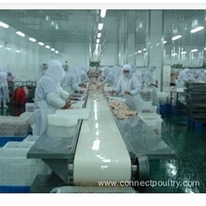 Belt conveyor system for poultry processing line