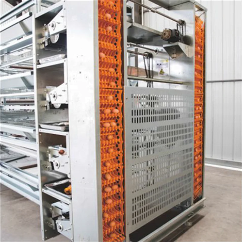 Complete Automatic Multi-tier layer cage system for layer feeding chicken house
