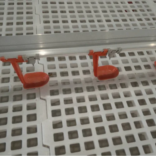 Automated poultry farm NIPPLE DRINKING SYSTEM