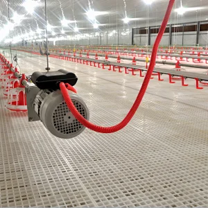 Chicken house Plastic slat floor for Poultry farm breeder feeding