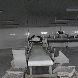European standard new automatic poultry slaughtering belt weighing and grading machine