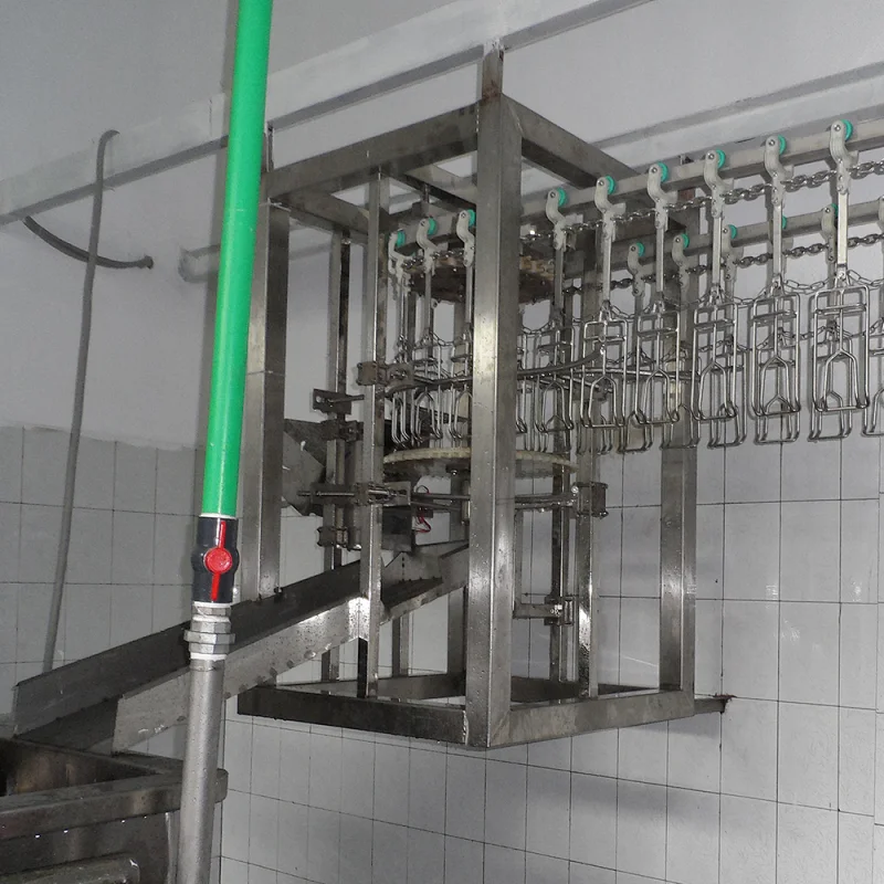 poultry slaughterhouse line