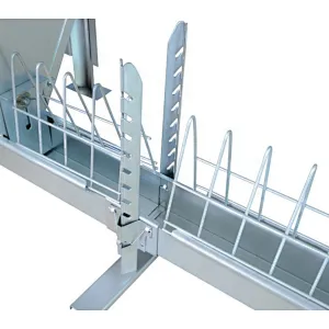 Breeder chain feeding System for poultry farming equipment
