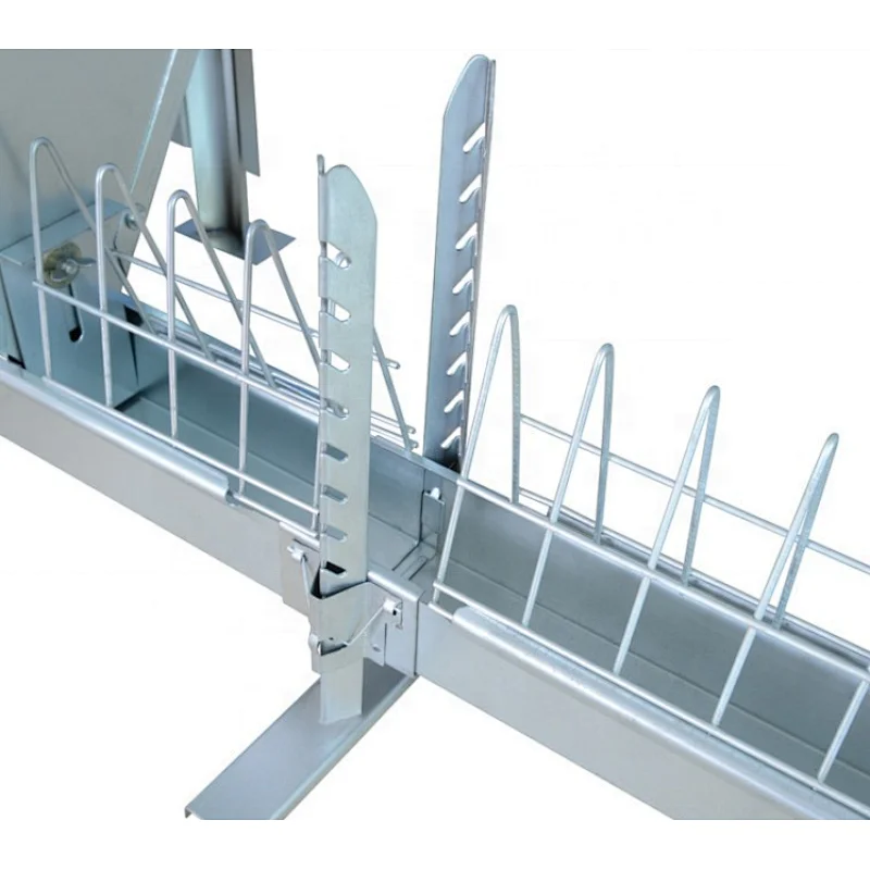 Breeder chain feeding System for poultry farming equipment