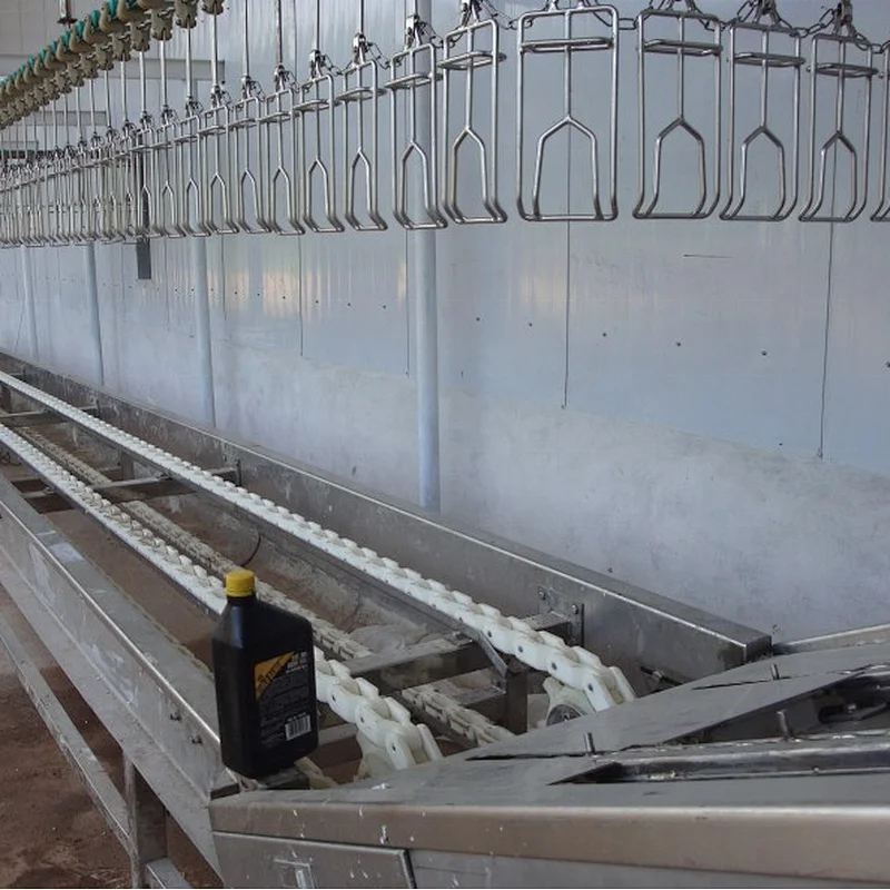 Crates Roller conveyor for poultry processing plant in live Birds Receiving Machinery
