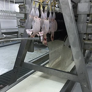 2019 high quality poultry farm broiler breeder house chicken abattoir machine