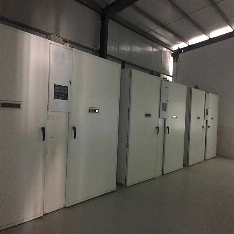 2019 new arrival commercial single-stage best price chicken poultry box type egg incubator for sale with CE approved