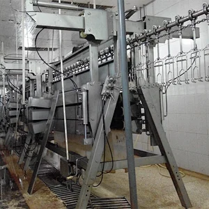 chicken processing equipment