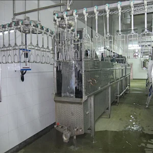 500BPH 1000BPH 2000BPH 3000BPH 6000BPH 12000BPH new stainless steel automatic poultry slaughterhouse conveying line equipment