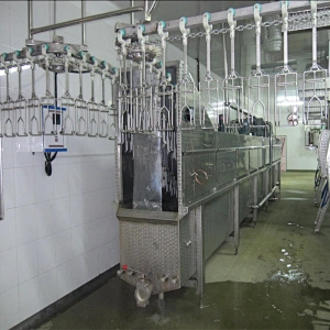 500BPH 1000BPH 2000BPH 3000BPH 6000BPH 12000BPH new stainless steel automatic poultry slaughterhouse conveying line equipment