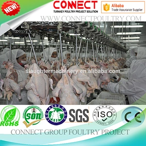 good quality best choice poultry abattoir broiler slaughtering equipment