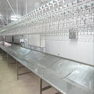 high quality poultry farm chicken slaughterhouse bleeding trough processing line equipment