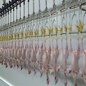 Hot sale CE approved halal full stainless steel 304 automatic  broiler butcher slaughterhouse equipment line