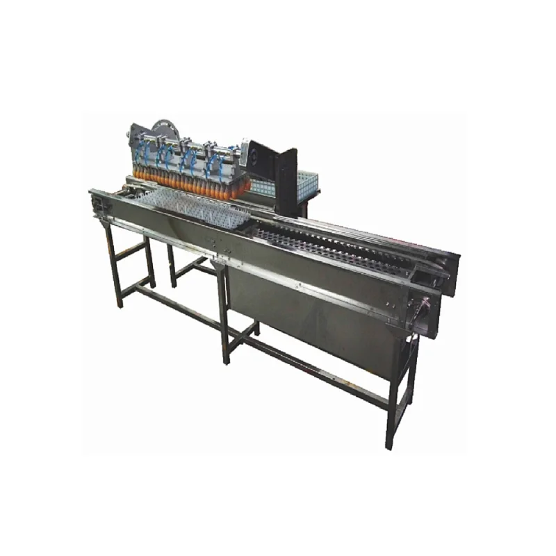 full automatic handling and transfering equipment for egg hatchery broiler breeder farm use