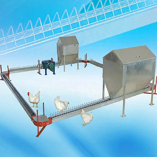 Big Chain Breeder feeding system Poultry feeding house shed equipment
