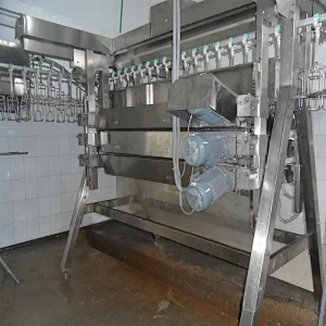 2019 high quality poultry farm broiler breeder house chicken abattoir machine