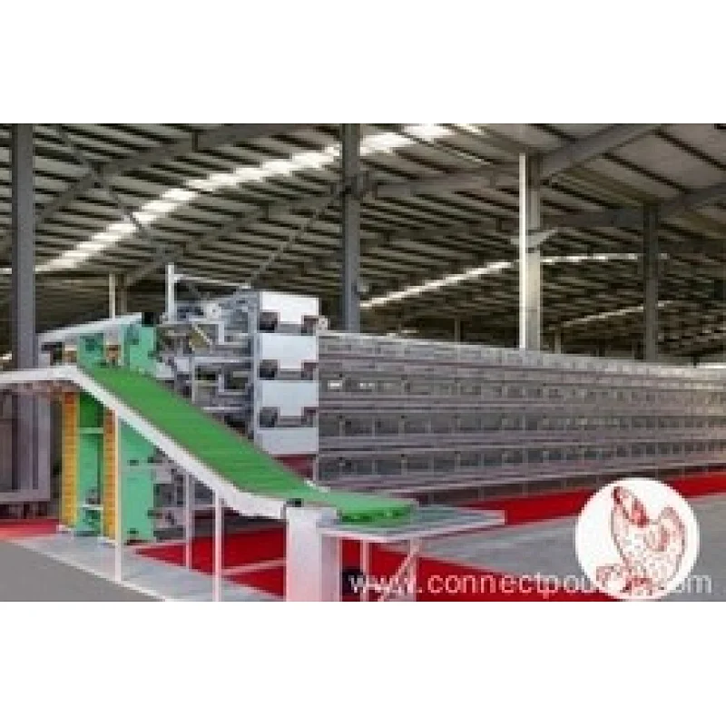 Hot Sale high quality one-stop service Automatic Feeding Egg Chicken Farm Layer Poultry Battery Cages for Farms