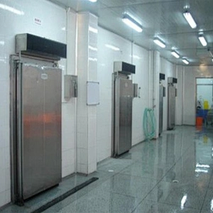 best selling commercial Professional industrial modular quick freezing cold blast freezer room machinery