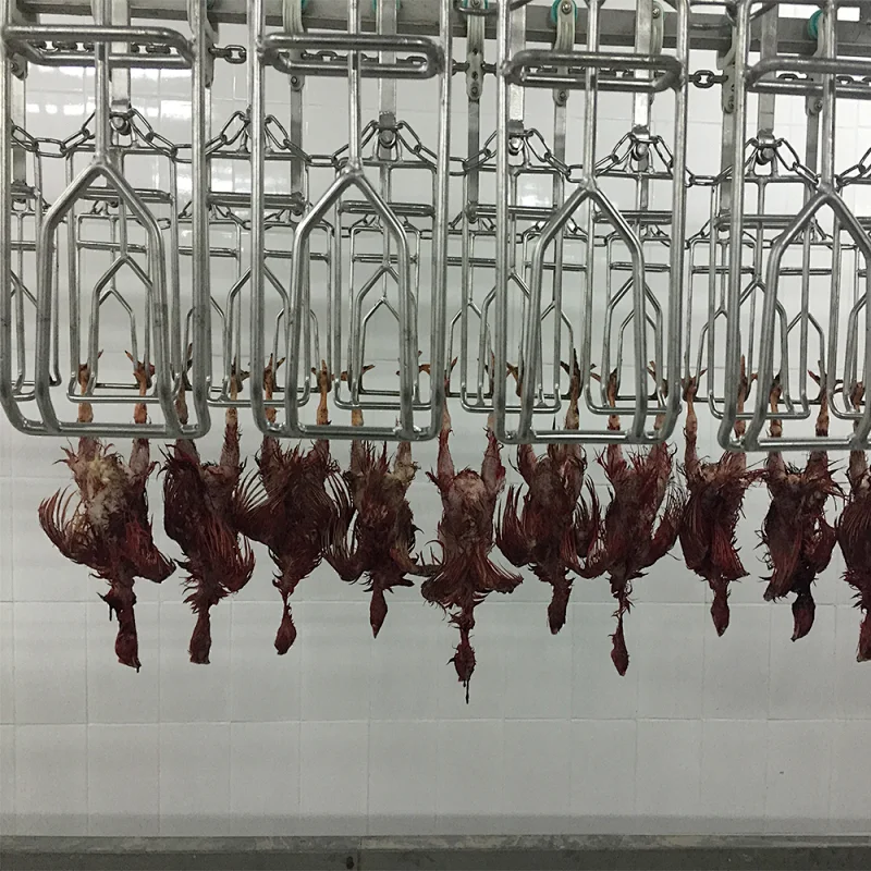 chicken slaughter equipment conveyor