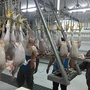 Small and Large Chicken Turkey Killing Processing Killing Slaughter Processing line Equipment