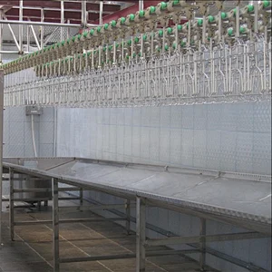 Abattoir chicken Conveyor Line for Poultry processing plant machinery