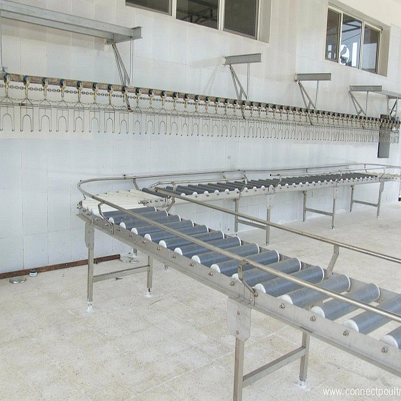good quality best choice poultry abattoir broiler slaughtering equipment