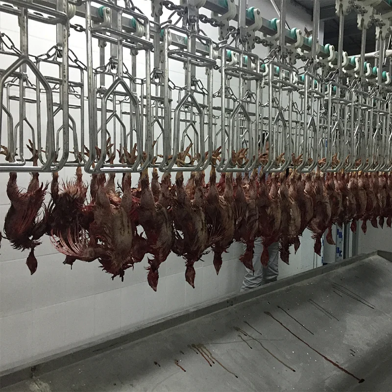 poultry slaughter equipment