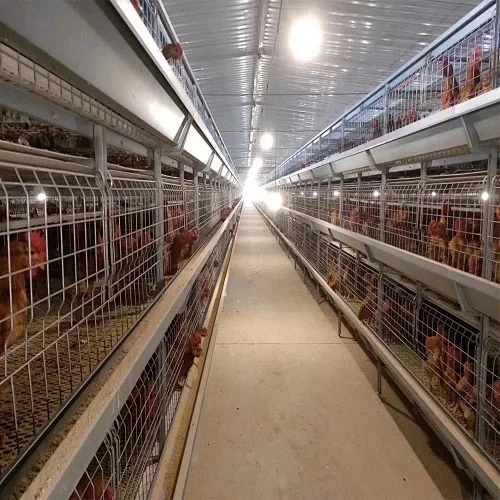 Poultry Farmconstruction Automatic Battery Chicken Layer Cages for pullets raising
