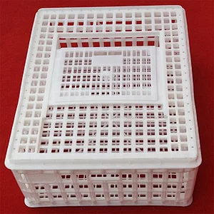 high quality Automatic poultry Slaughter house live birds crates for broiler farm use