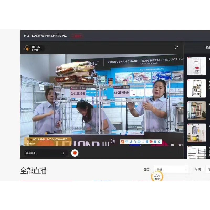 WELLAND Live Show of Hot Sale E-Commerce Wire Shelving Rack in the 127th Canton Fair