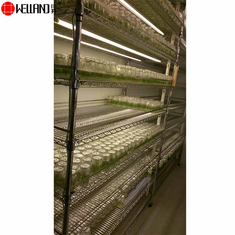 wire shelf greenhouse