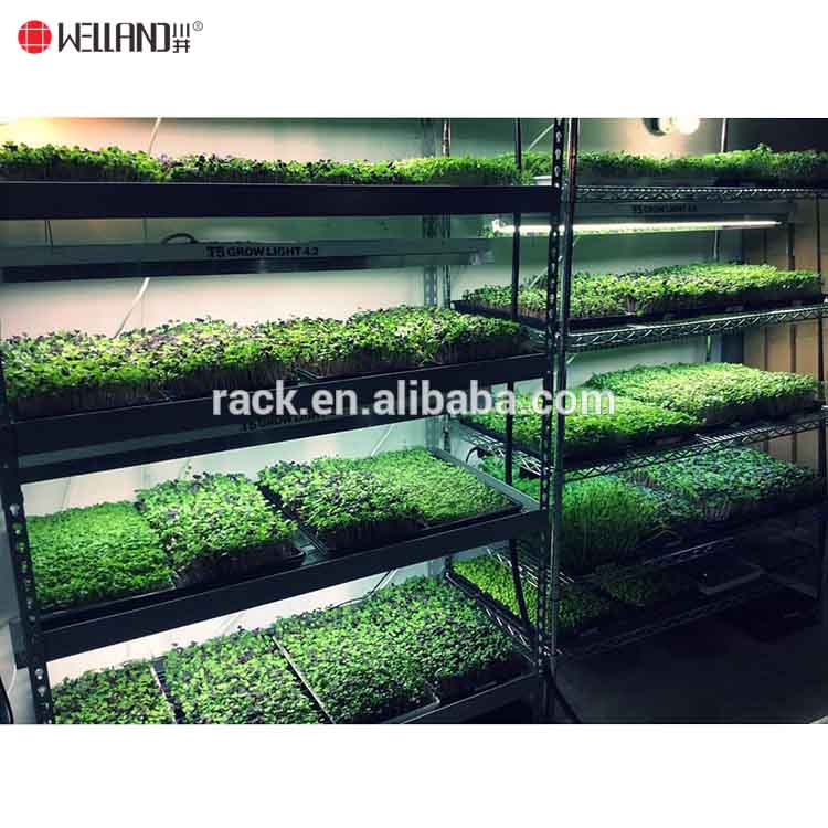6 tiers shelving