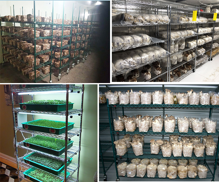 Microgreens Growing Wire Shelving